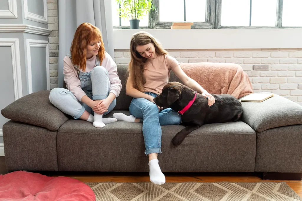 Home Renovations for Pet-Friendly Living