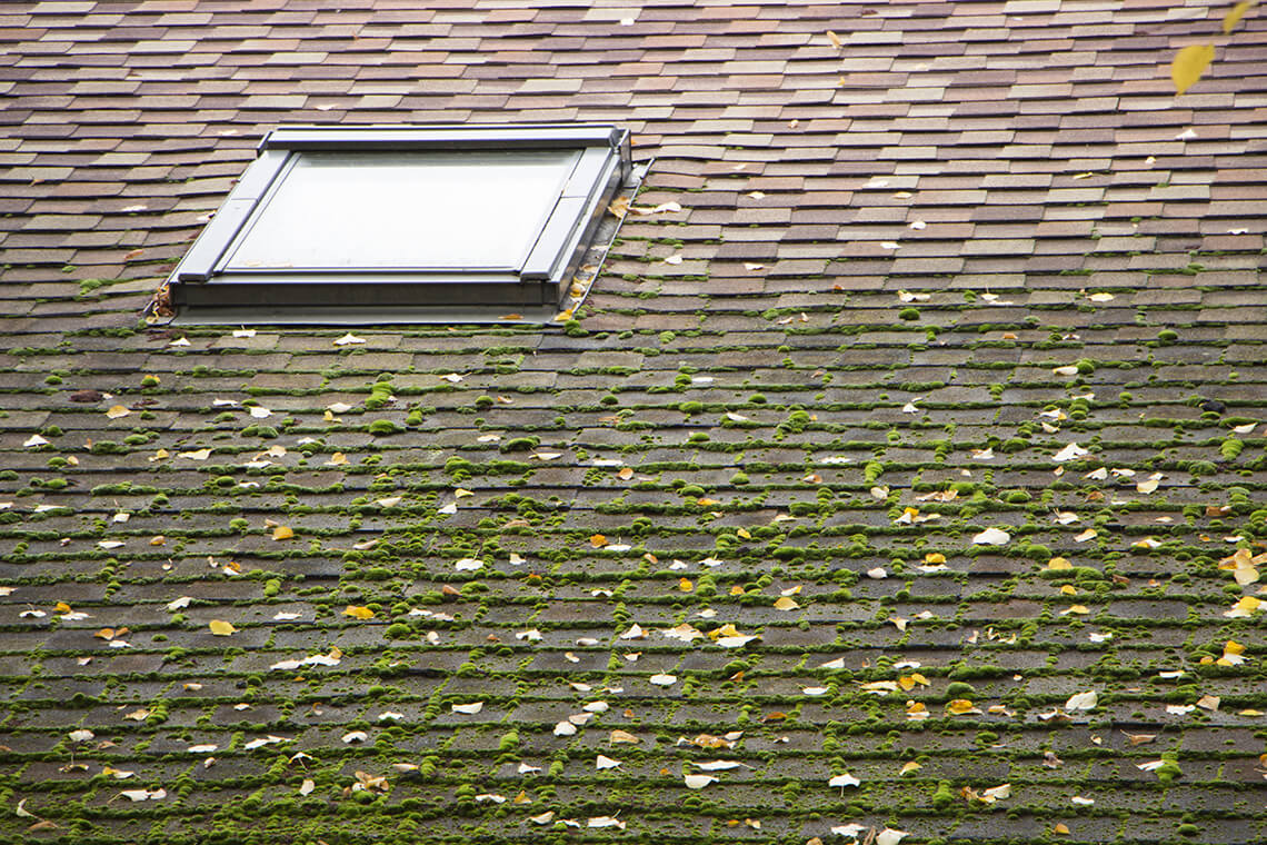 Weathered Roof