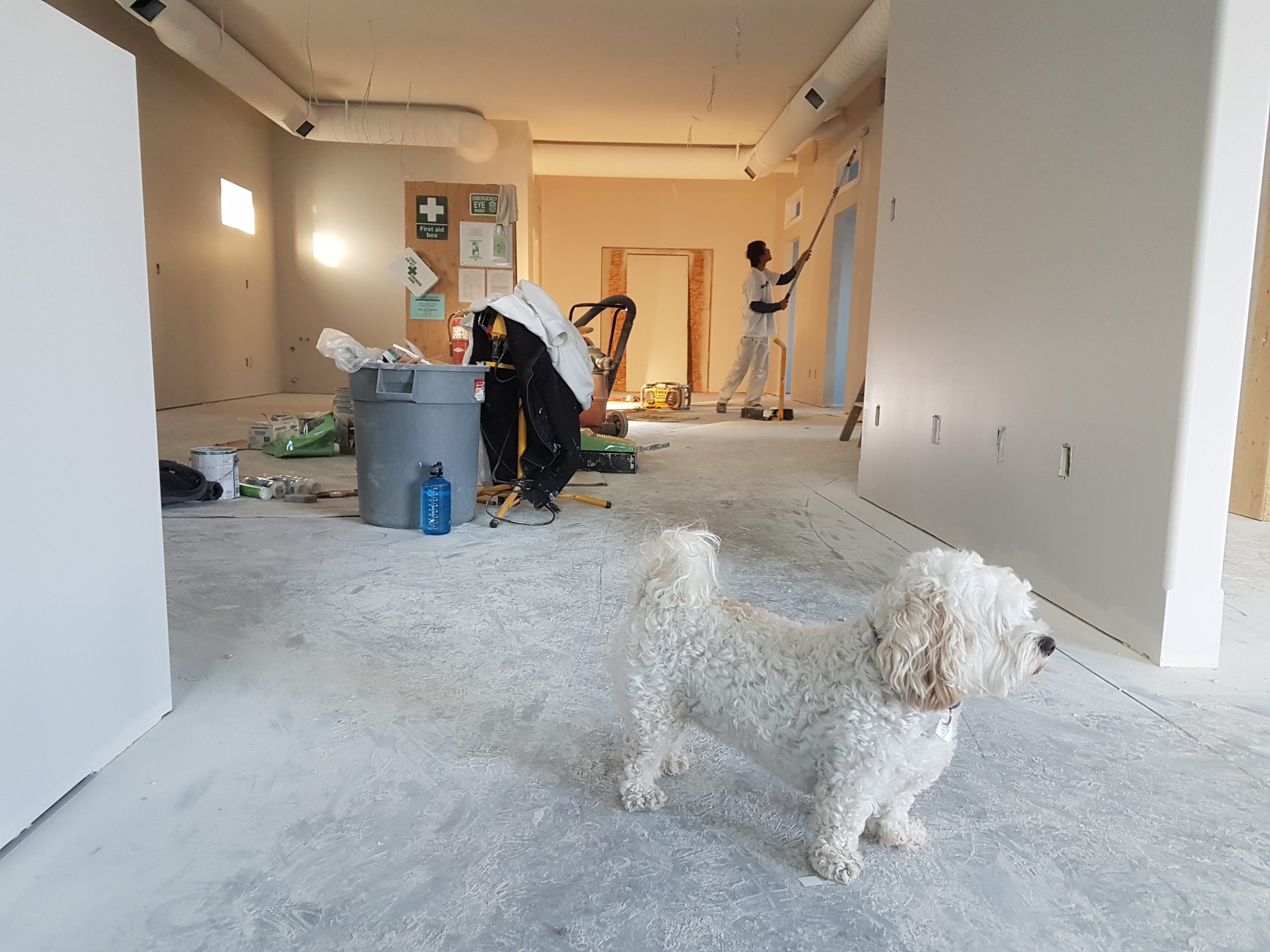 How to Live in Your Home During a Renovation