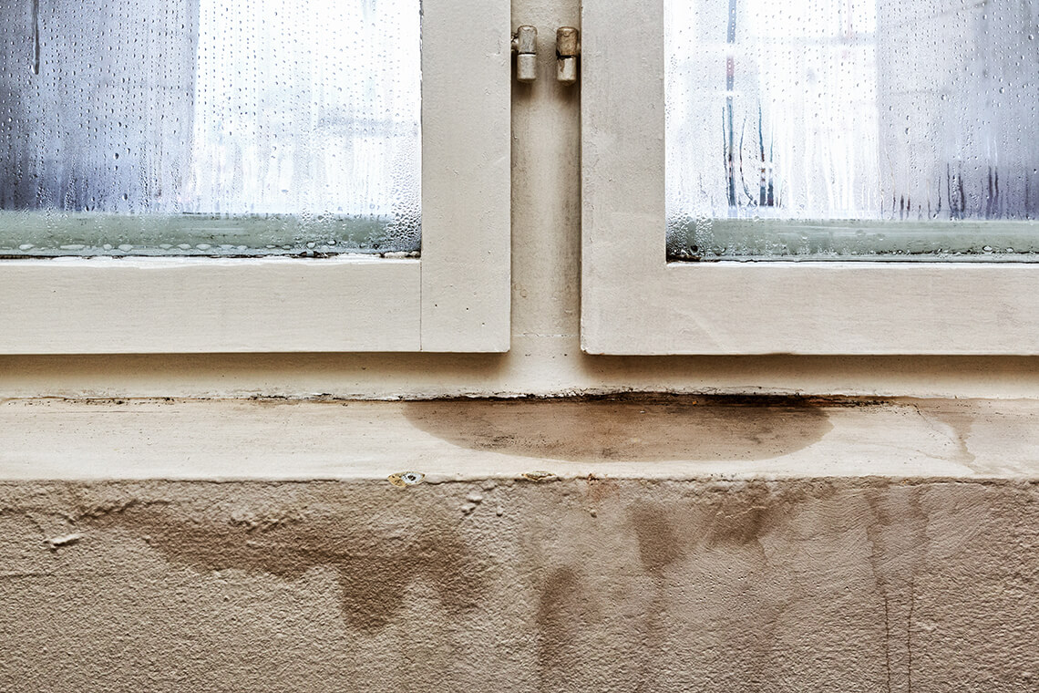 Get Rid of Smelly Basements
